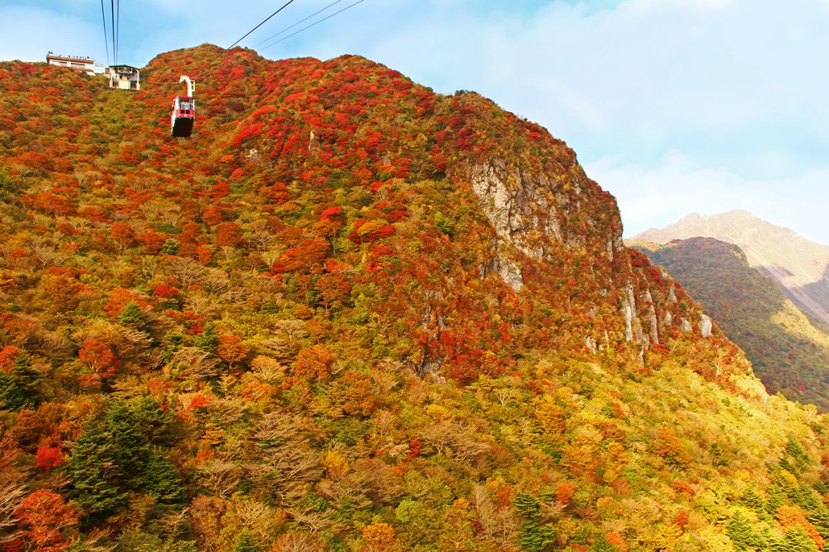 燃えるような鮮やかな紅葉が山々を染めつくす秋（雲仙観光局提供）