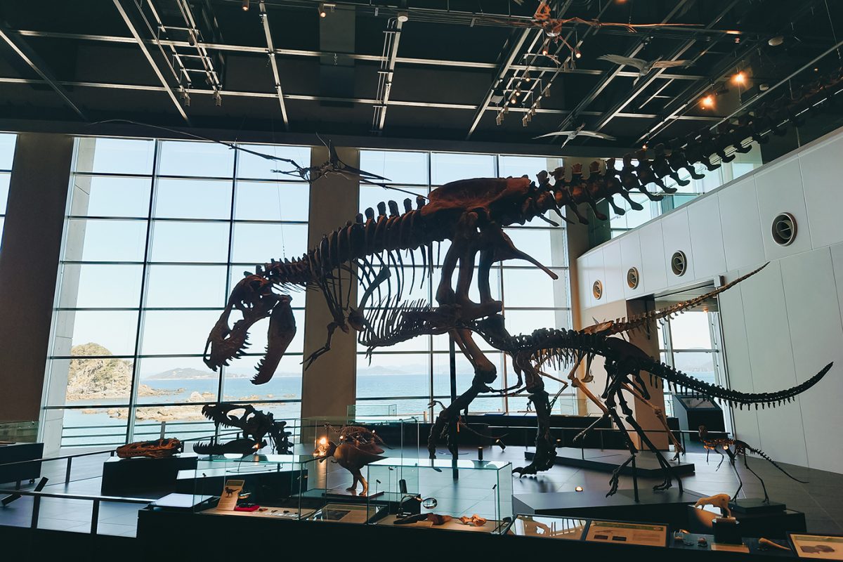 ティラノサウルスの骨格レプリカと外の景色のコントラストがお見事