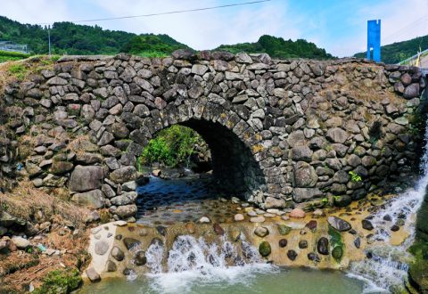 国指定史跡「日野江城」（南島原ひまわり観光協会提供）